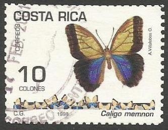 Caligo memnon (1493)