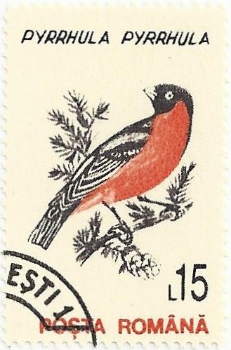 PÁJAROS. CAMACHUELO COMÚN. Pyrrhula pyrrhula. YVERT RO 4067