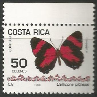 Callicore pitheas (1500)