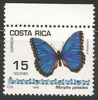 Morpho peleides (1494)