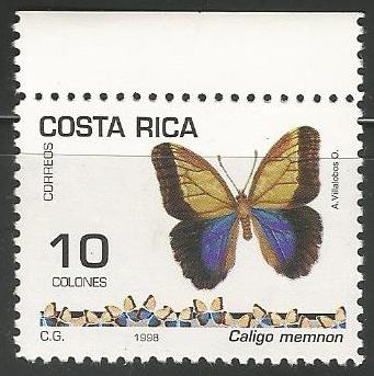 Caligo memnon (1493)