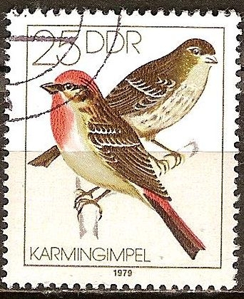 Los pájaros cantores( Rosefinch Común)DDR.