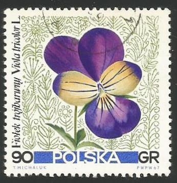 Viola tricolor (1779)