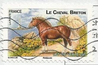 Cheval Breton