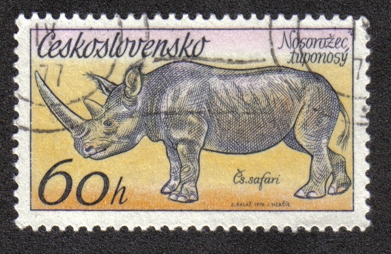 Safari checoslovaco