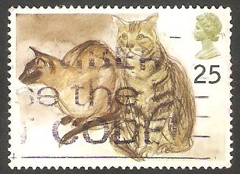 1790 - Gatos