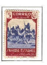 Sahara Fauna Indigena 65