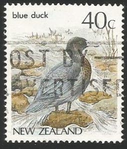 Blue duck (1003)