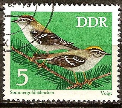  Conservación, pájaros cantores,Reyezuelo(DDR).