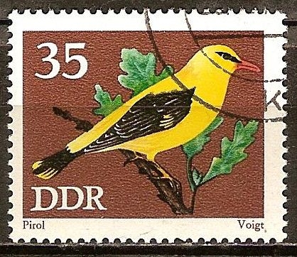  Conservación, pájaros cantores, oropéndola (DDR).