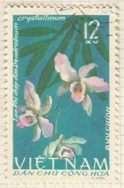 Orquídea (428)