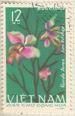 Orquídea (426)