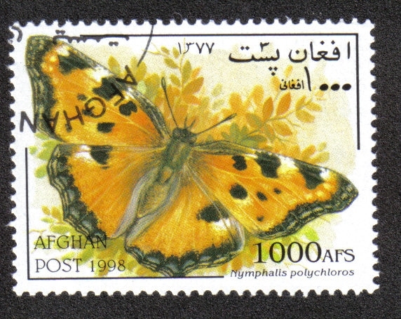 Mariposas