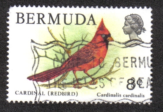 Cardinal