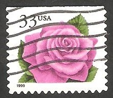 2931 - Rosa
