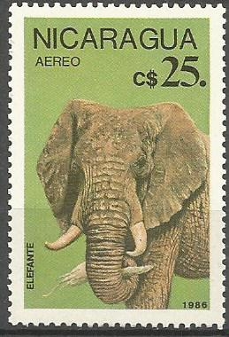 ELEFANTE