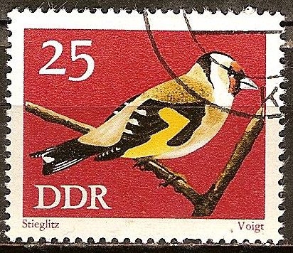 Conservación,pájaros cantores,Jilguero,(DDR).
