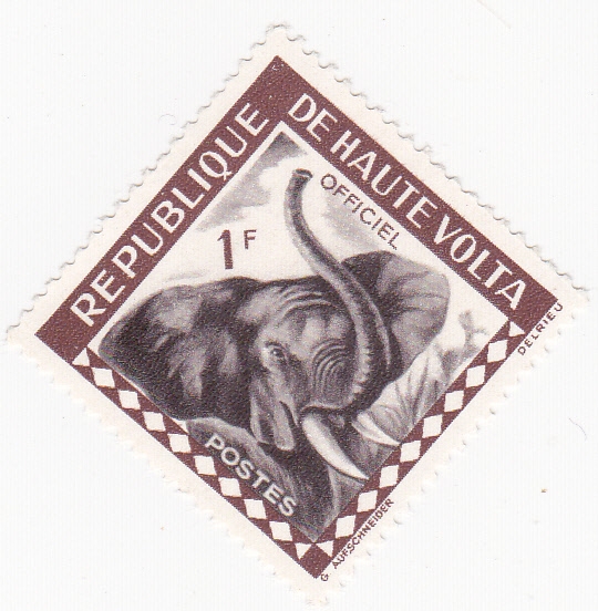 elefante