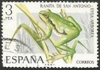 Ranita de San Antonio (2172)