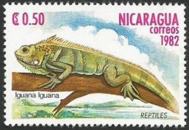 Iguana (2402)