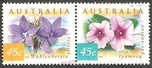 1740 y 1739 - Flores