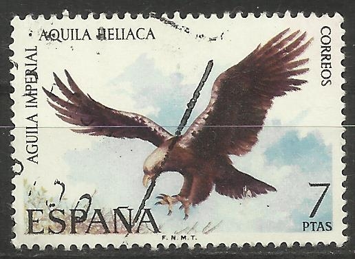 2161/13