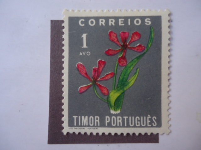 Fauna: Timor Portugués.