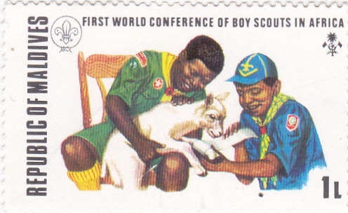 conferencia Boy Scouts en Africa