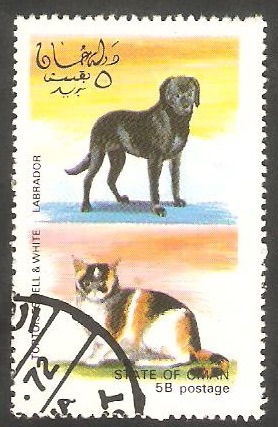 Perro y Gato