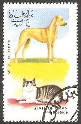 Perro y Gato