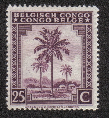 Palmeras, Congo Belga