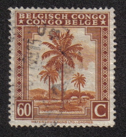 Palmeras, Congo Belga