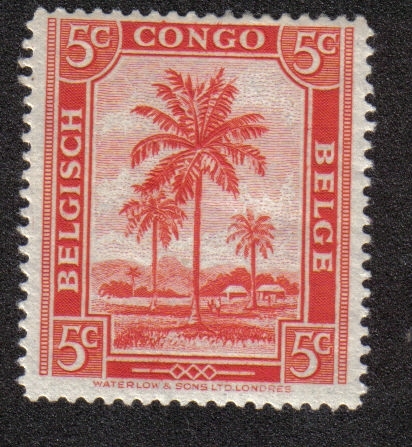 Palmeras, Congo Belga
