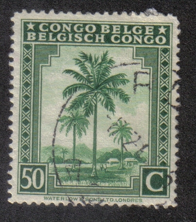 Palmeras, Congo Belga