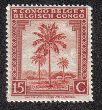 Palmeras, Congo Belga