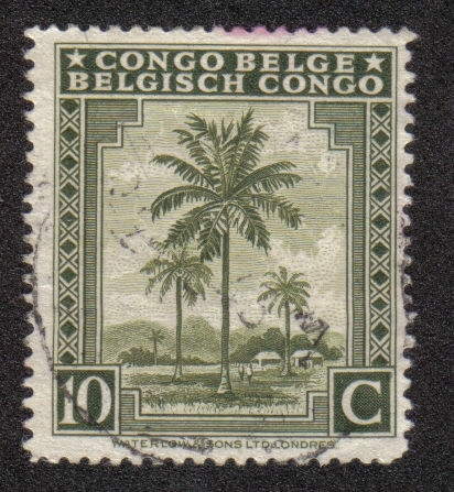 Palmeras, Congo Belga