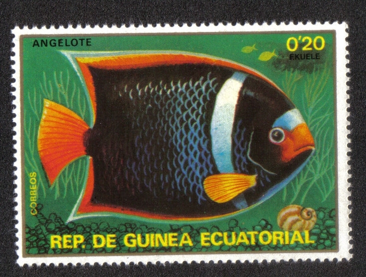 Peces II