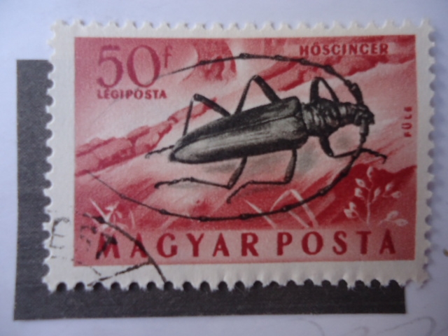 Magyar Posta.