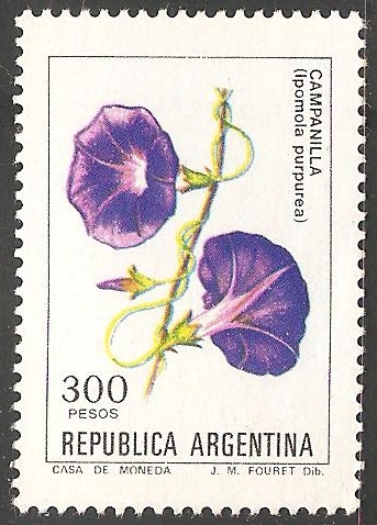 Campanilla