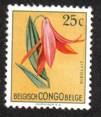 Flores, Congo Belga