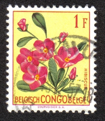 Flores, Congo Belga