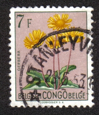 Flores, Congo Belga
