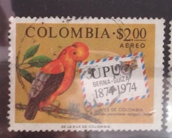 Aves de Colombia 