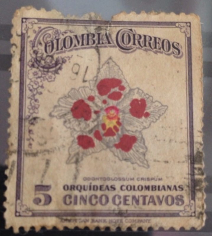Orquídeas colombianas