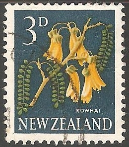 Kowhai