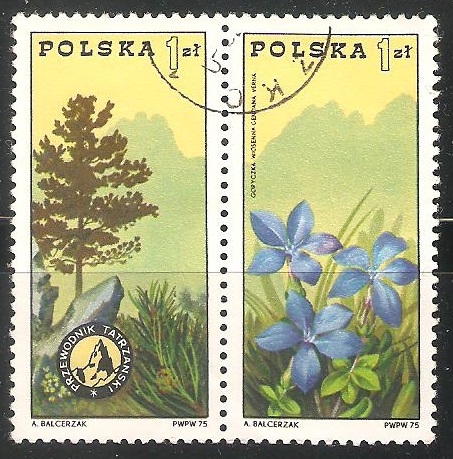 Tatra Presidencia y genciana de primavera