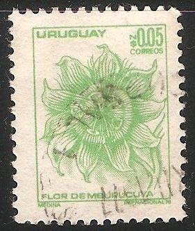 Flor del Mburucuyá