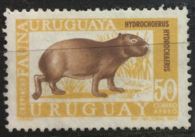 Fauna de Uruguay 