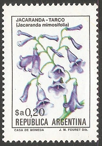 JACARANDA TARCO