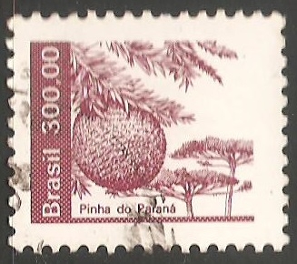 Piña de Parana